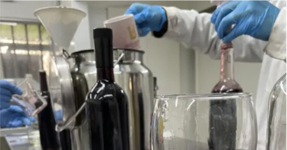 ¿Qué? Científicos chilenos crean vinos con menos grados de alcohol