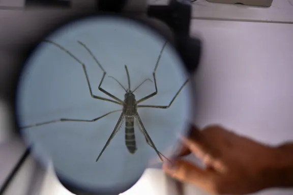 ¡Viajeros tomen nota! Estos son los síntomas de alerta si fuiste de vacaciones