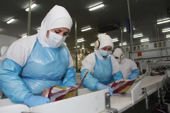 SAG logra apertura del mercado paraguayo para exportación de carne y subproductos avícolas