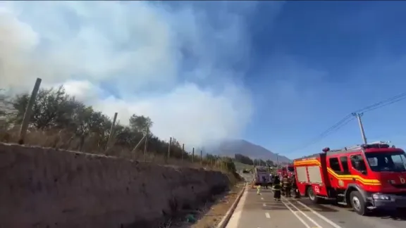 Reportan incendio forestal en Gabriela Mistral: diez carros de Bomberos trabajan en el lugar