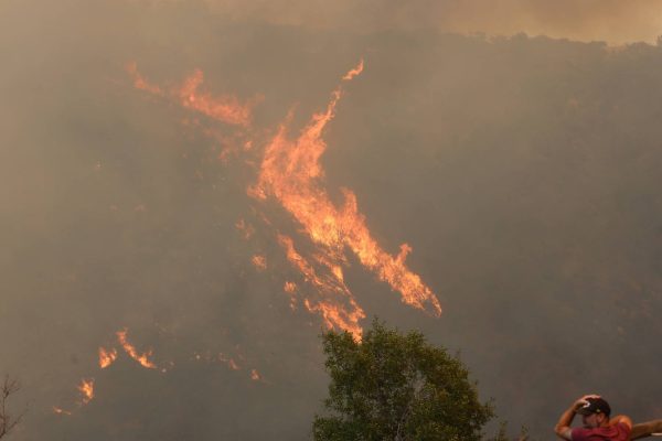 "No utilicé todos los artefactos incendiarios que fabriqué"