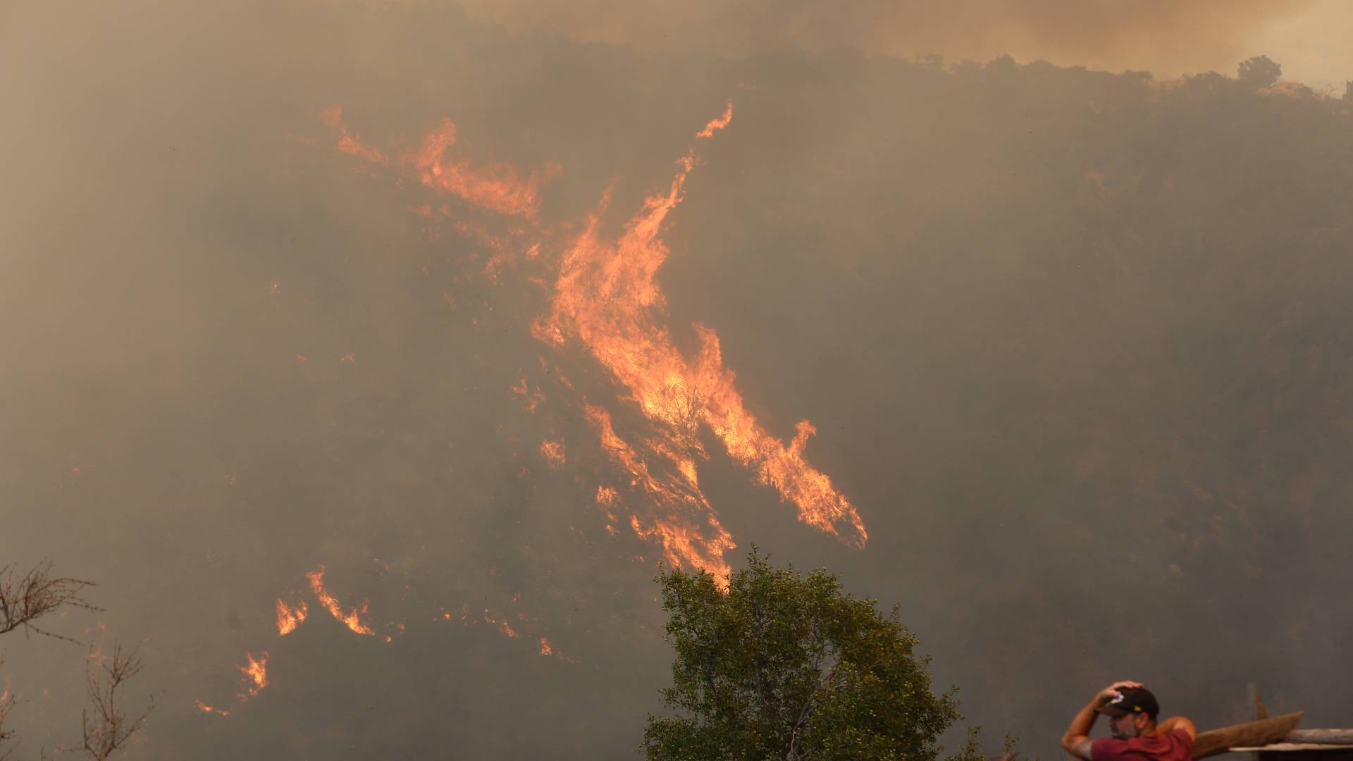 "No utilicé todos los artefactos incendiarios que fabriqué"