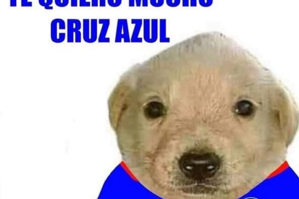 ¡De fiesta! Cruz Azul está en la gran final y estos son los mejores memes