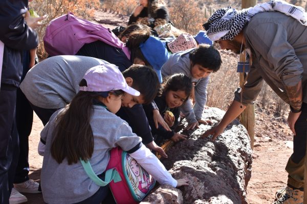 Río Hurtado se fortalece como capital nacional de la paleontología con iniciativa que potencia las ciencias