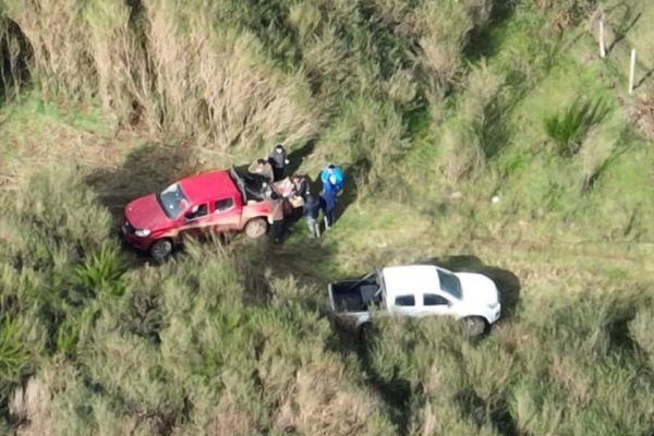 Arauco suspende indefinidamente operaciones del aserradero El Colorado en Curanilahue