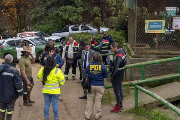 Fiscalía apunta a perros como los responsables del ataque a animales en zoológico de Quilpué