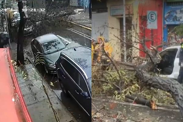 Árbol cayó sobre dos turistas italianas que iban a subir a un auto en Santiago