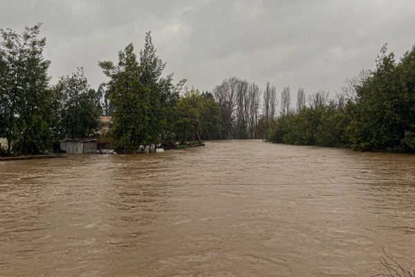 Alerta Roja para Pitrufquén y Carahue por desborde de ríos