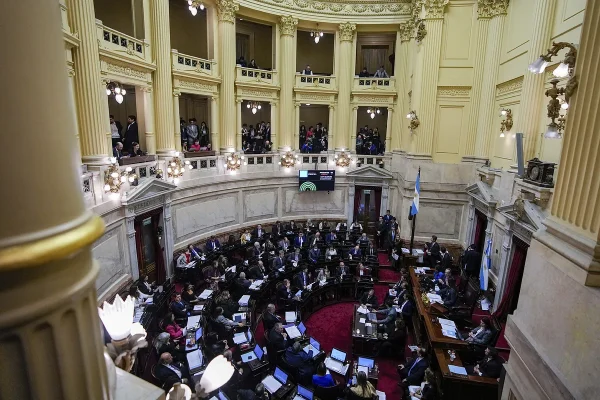 Los cuatro puntos que explican la polmica Ley de Bases en Argentina