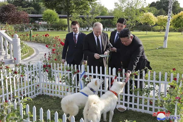 Perros de caza norcoreanos y una limusina rusa, los regalos entre Kim y Putin