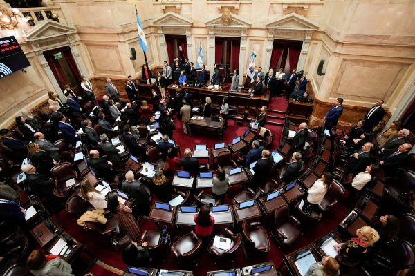 Ley Bases: El Senado argentino aprueba por un voto el proyecto de desguace del Estado de Milei