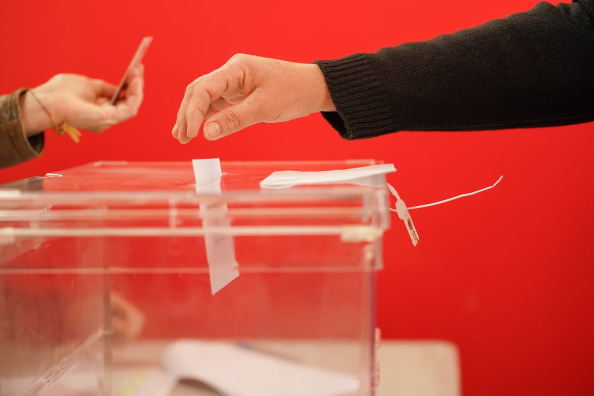 Vídeo | Elecciones, instrucciones de uso | Elecciones europeas 2024 | Noticias