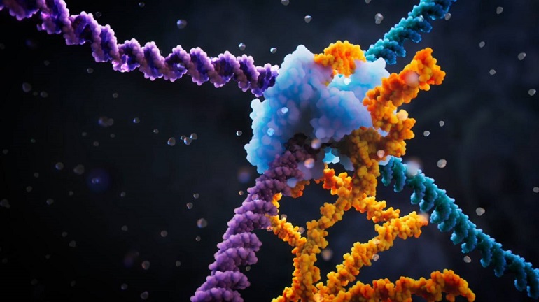 Descubierta una nueva técnica de edición genética más precisa que CRISPR