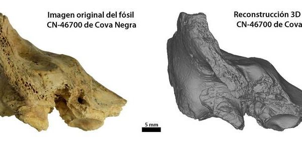 Los neandertales cuidaban y protegían a sus niños con síndrome de Down