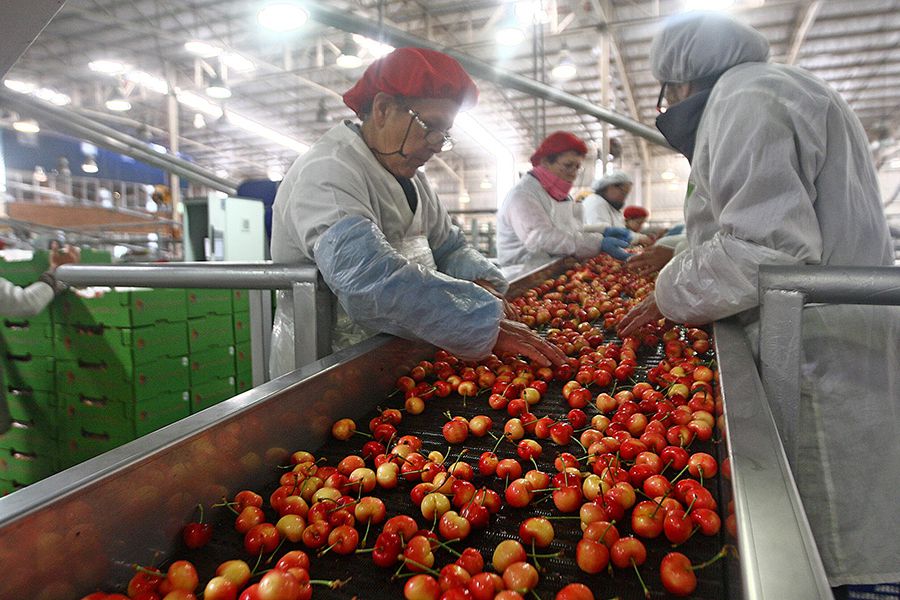 Fruteros chilenos apoyan reclamo chino contra sobretasas al acero