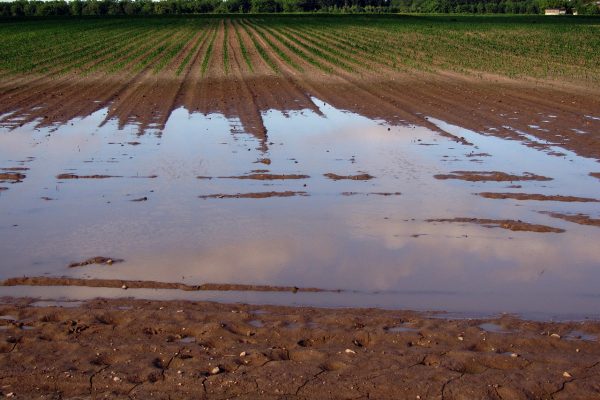 Decretan alerta roja en la Araucanía por inundaciones