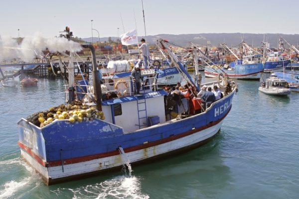 Suspendida tramitación de ley de pesca por reparos a indicaciones de oposición