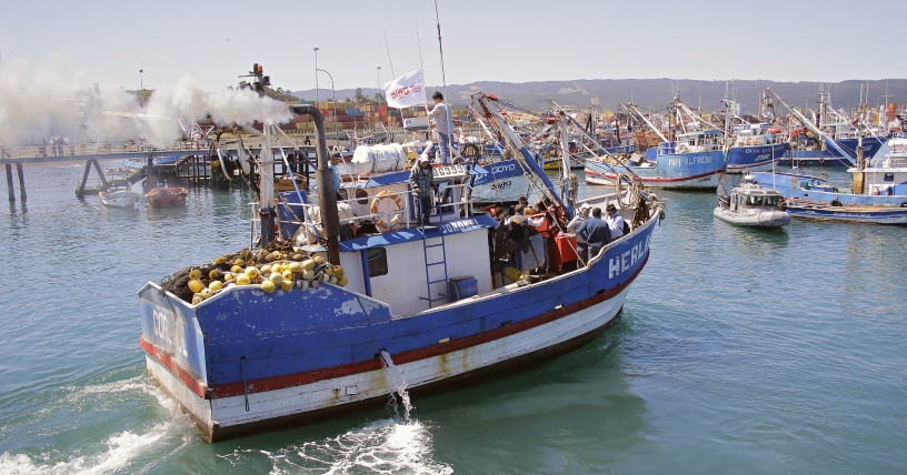 Suspendida tramitación de ley de pesca por reparos a indicaciones de oposición