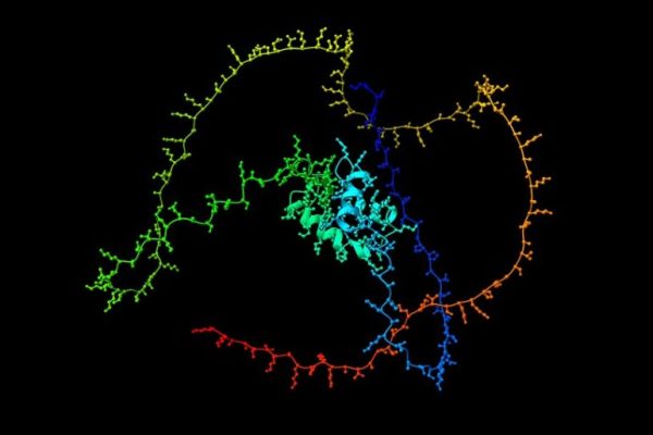 Una investigación arroja más luz sobre la proteína H1, el guardián de la estabilidad del genoma