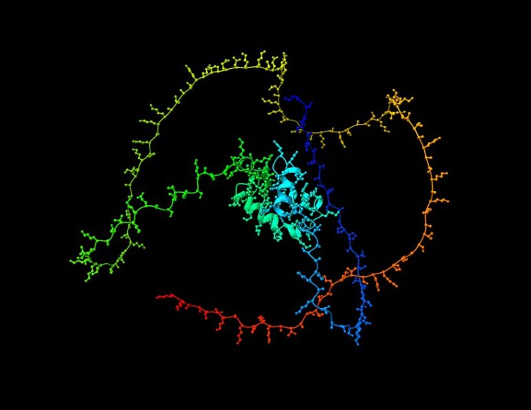 Una investigación arroja más luz sobre la proteína H1, el guardián de la estabilidad del genoma