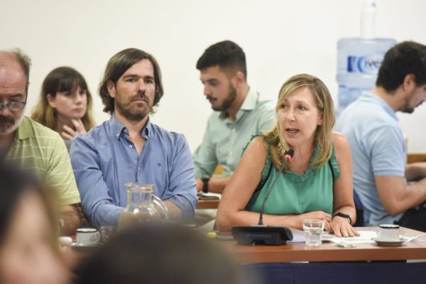 Bregman y Del Caño piden interpelar a Pettovello por las “gravísimas irregularidades” en su cartera