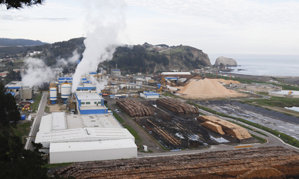 Arauco anuncia inversión de US$100 millones para planta en Ñuble