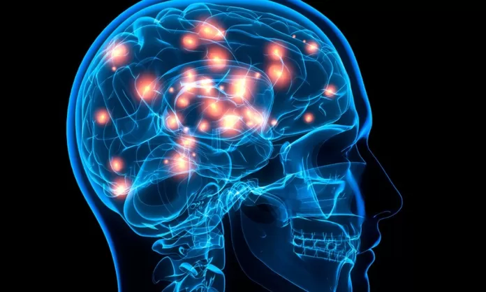 Fototerapia ayudaría a recuperación de lesiones cerebrales