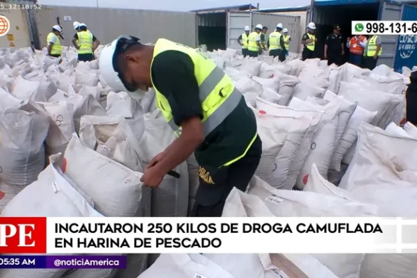 Incautaron 250 kilos de droga camuflada en harina de pescado