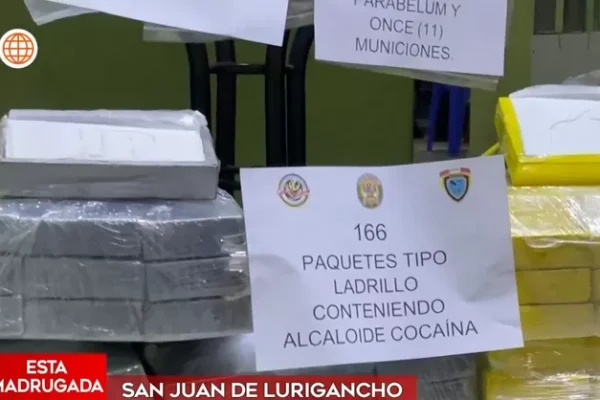 San Juan de Lurigancho: Hallan 166 paquetes de droga en vivienda