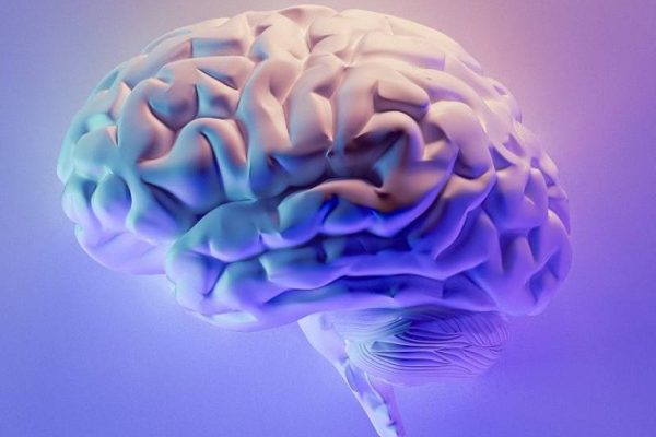 Redes neuronales para mejorar la detección temprana de la demencia