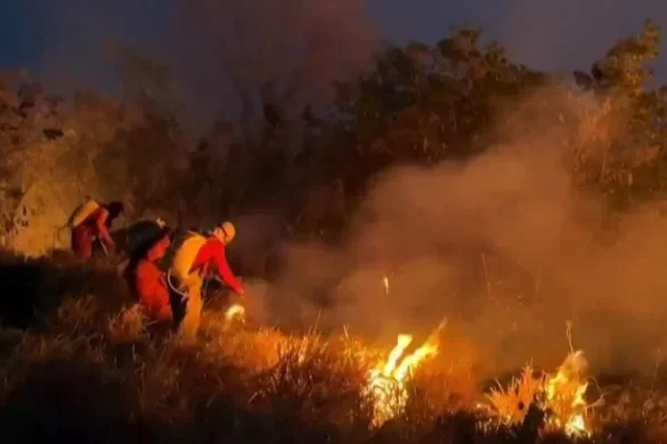 Brasil: Incendios en la Amazonia aumentaron en 61% respecto al 2023