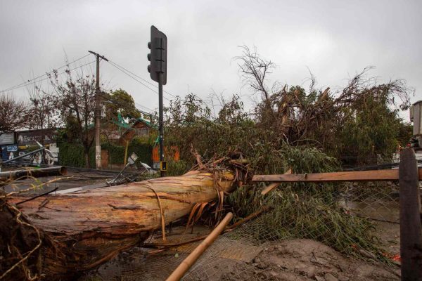 Senapred emite alerta por fuertes vientos en 8 comunas de la RM