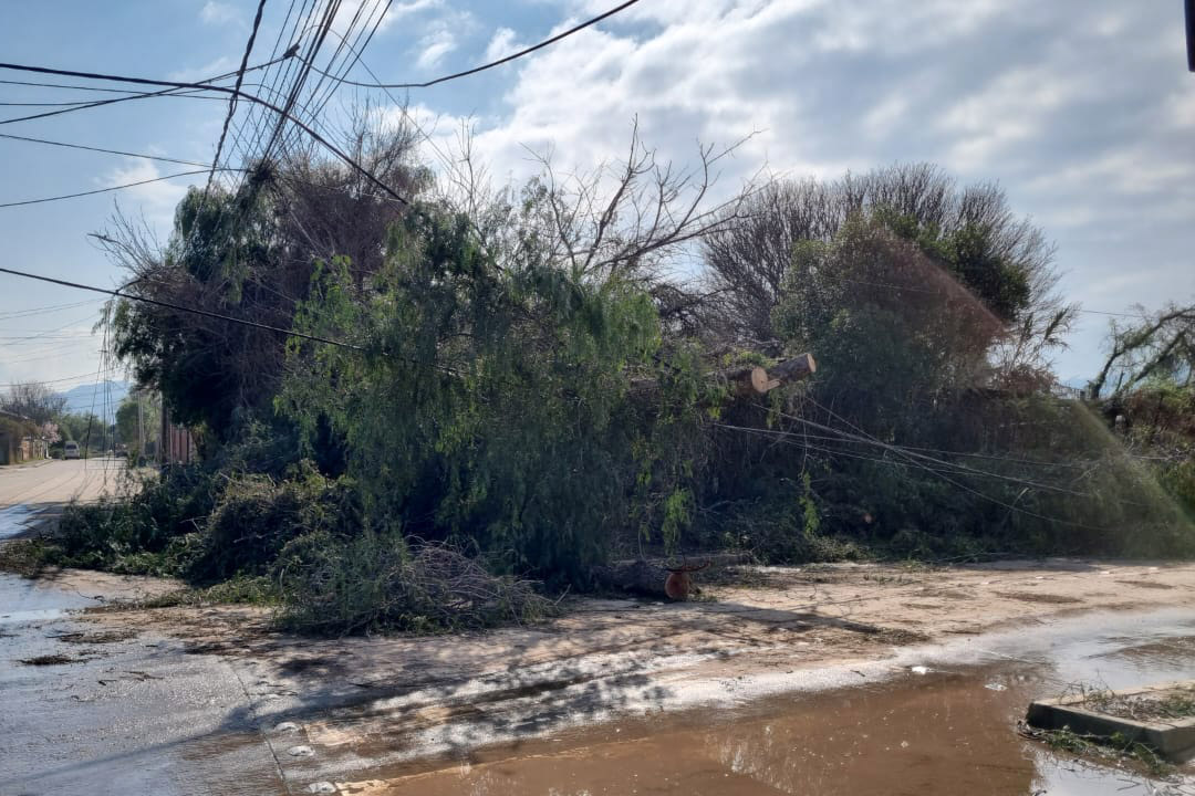 Senapred amplía Alerta Temprana Preventiva para toda la RM