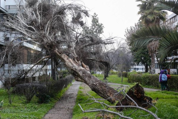 Qué regiones incluye la alerta meteorológica por vientos de 100 km/h