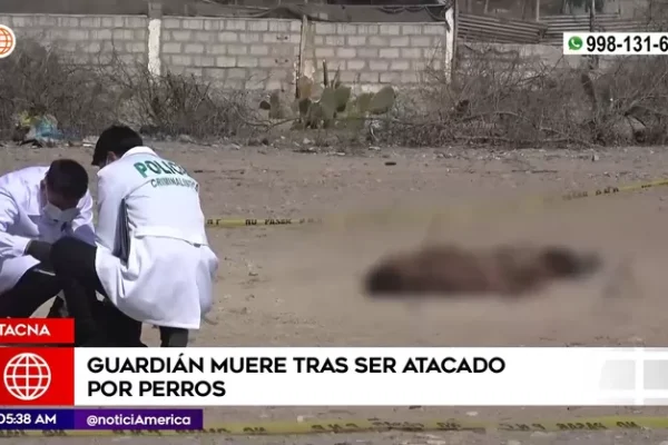 Tacna: Guardián murió tras ser atacado por perros