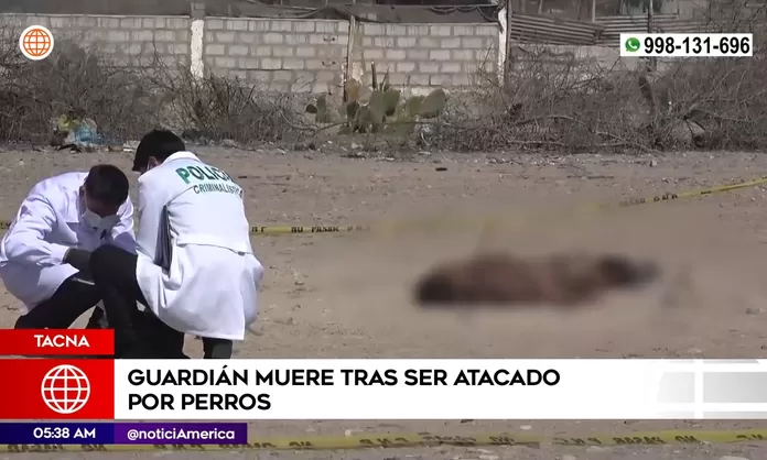 Tacna: Guardián murió tras ser atacado por perros