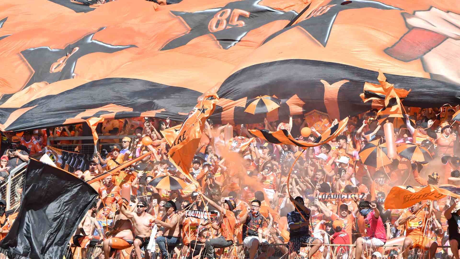 Cobreloa denuncia abuso sexual contra hincha durante pleito contra Colo Colo