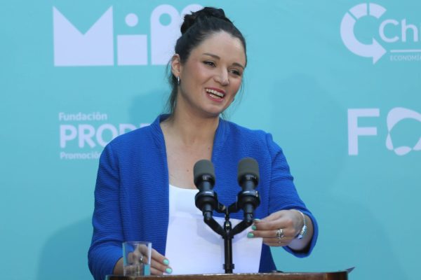 Irina Karamanos declara como imputada en arista ProCultura