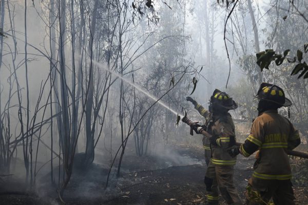 Dos adolescentes detenidos por causar incendio en Valparaíso: usaron fuego artificial