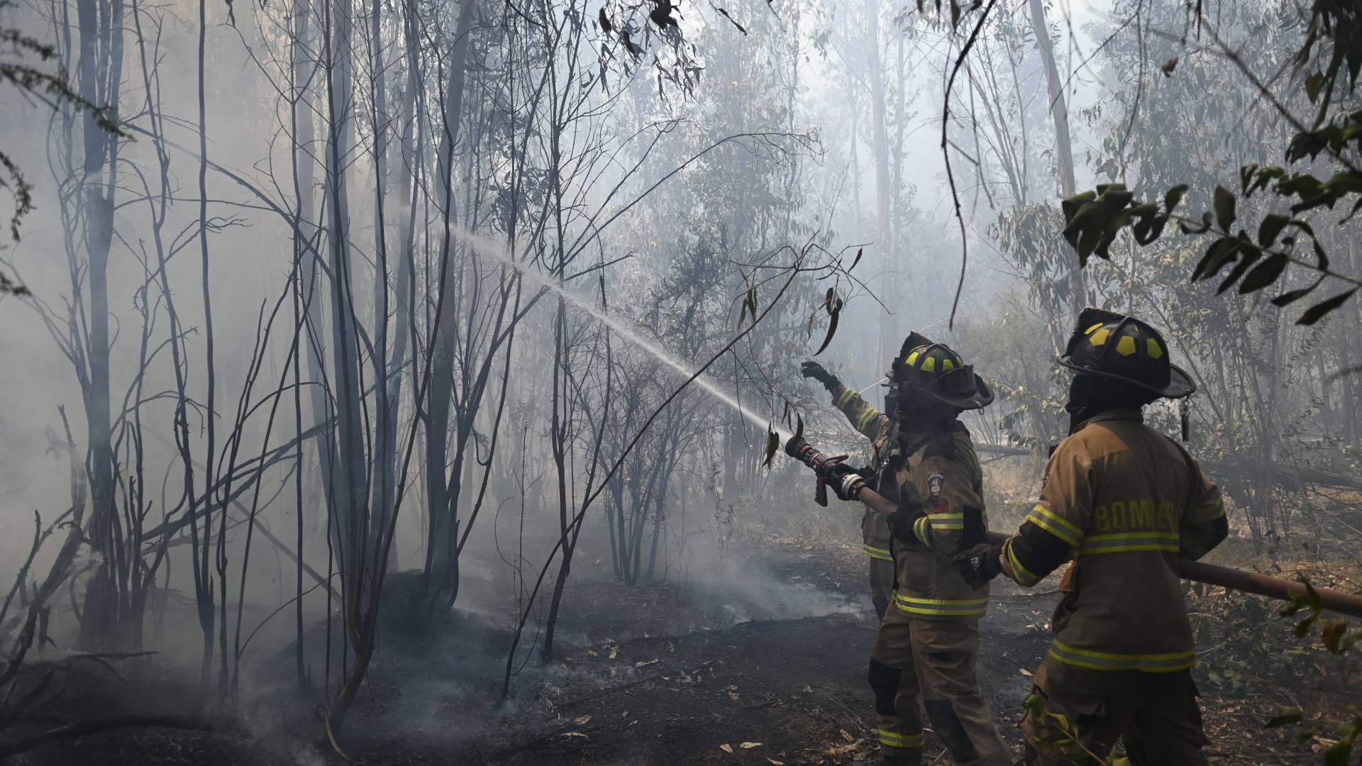 Dos adolescentes detenidos por causar incendio en Valparaíso: usaron fuego artificial