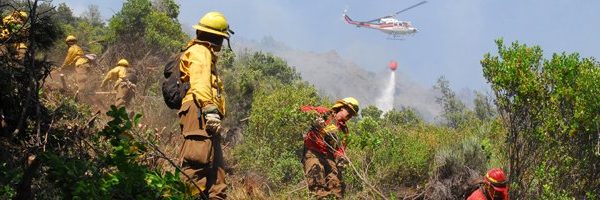 Cae helicóptero que combatía incendio forestal en el Maule