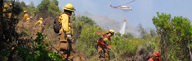 Cae helicóptero que combatía incendio forestal en el Maule