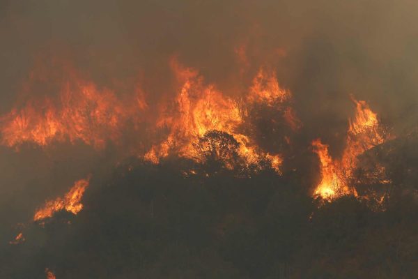 Alcalde de Til Til por incendio forestal que consumió más de 200 hectáreas: "Tenemos sospechas de la intencionalidad"