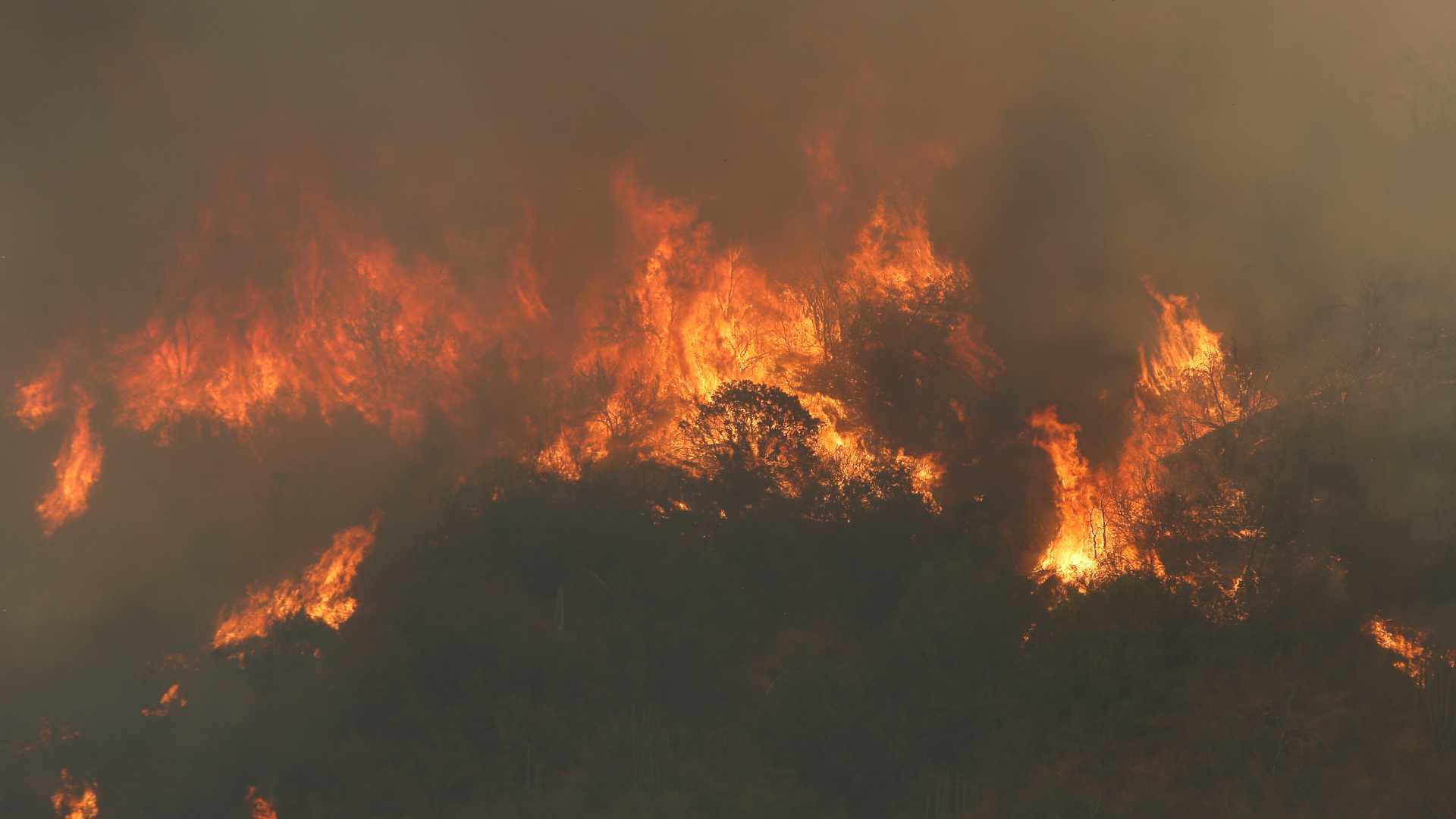 Alcalde de Til Til por incendio forestal que consumió más de 200 hectáreas: "Tenemos sospechas de la intencionalidad"