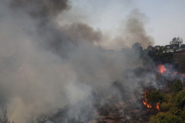 Incendio forestal: Senapred declara Alerta Roja en Hualqui y solicita evacuar sectores