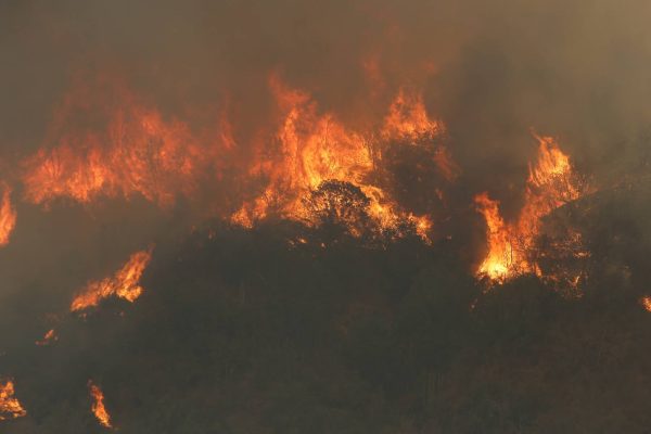 A menos dos de los ocho focos de incendios activos en el país muestran acción intencional