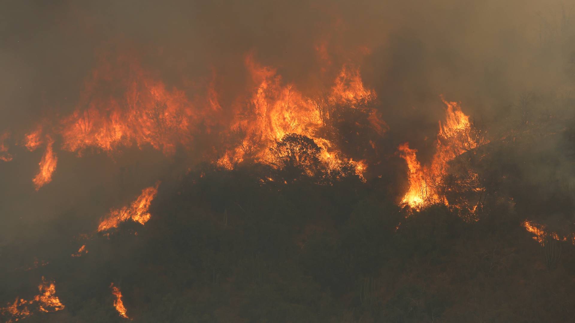 A menos dos de los ocho focos de incendios activos en el país muestran acción intencional