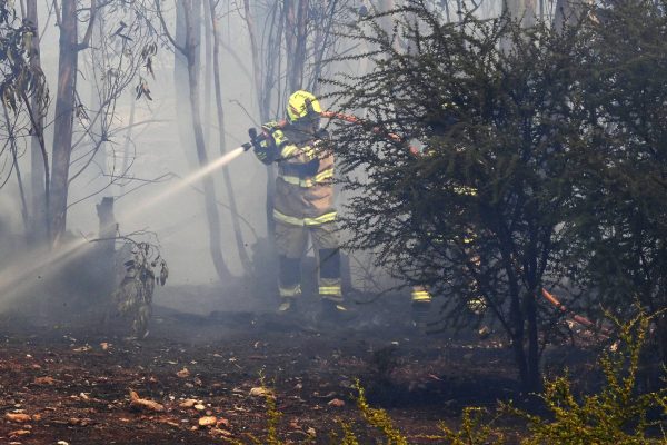 La hipótesis sobre la causa de la muerte de los tres brigadistas en el incendio forestal en La Araucanía