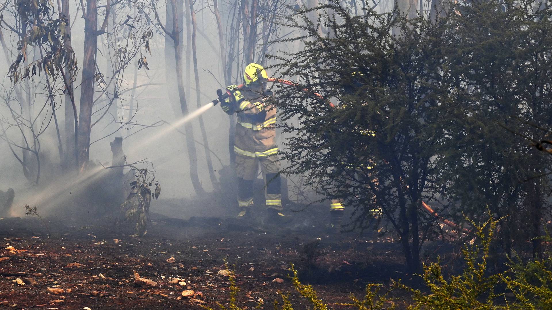 La hipótesis sobre la causa de la muerte de los tres brigadistas en el incendio forestal en La Araucanía