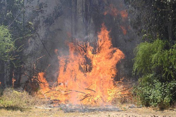 Encuentran nuevos restos humanos: el origen y las penas que arriesgan quienes provocaron el incendio en Los Sauces